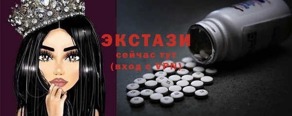 дживик Пересвет