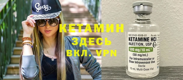 дживик Пересвет