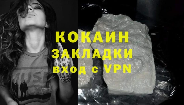 дживик Пересвет