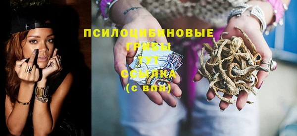 эйфоретик Пестово
