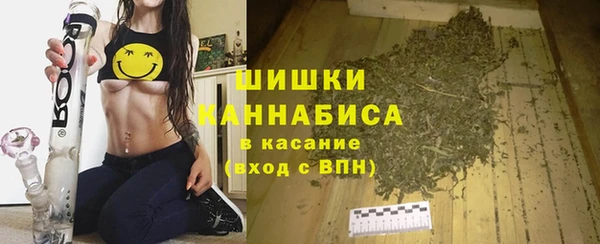 эйфоретик Пестово