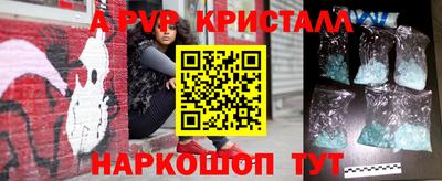 стафф Дубна