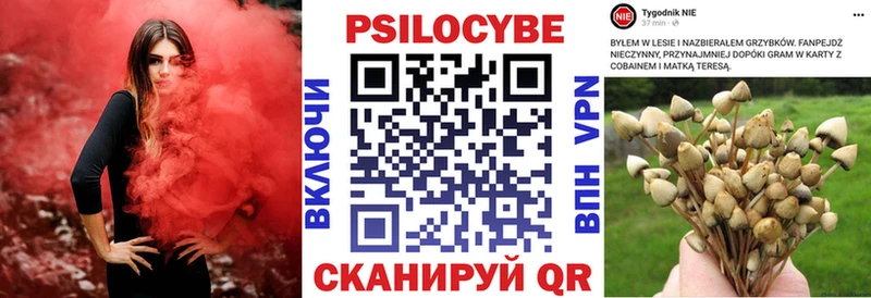 mega ТОР где найти наркотики Арсеньев Галлюциногенные грибы мицелий